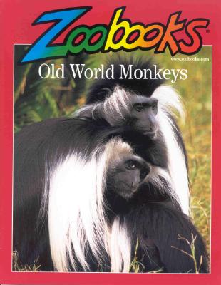 Image for Old World Monkeys Old World Monkeys