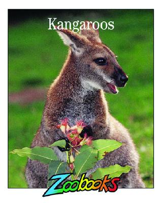 Image for Kangaroos Kangaroos