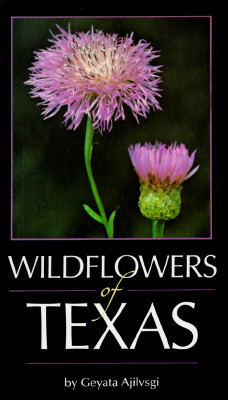 Image for WildFlowers Of Texas