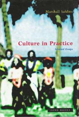 Culture in Practice: Selected Essays (Mit Press)
