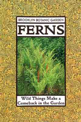 Image for Ferns: Wild Things Make a Comeback in the Garden (21st Century Gardening Series)