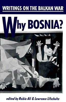 Image for Why Bosnia? Writings on the Balkan War