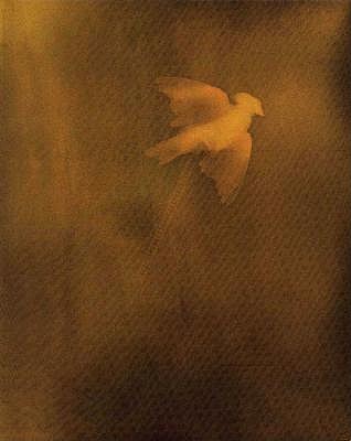 Adam Fuss