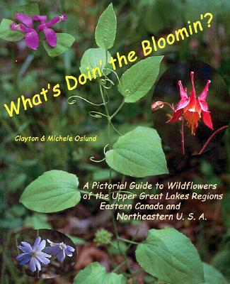 Whats Doin The Bloomin