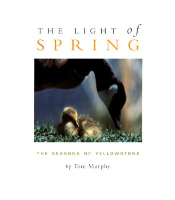 Light of Spring: The Seasons of Yellowstone