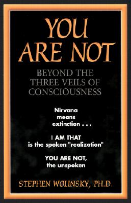 You Are Not: Beyond the Three Veils of Consciousness