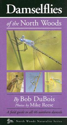 Damselflies Of The North Woods