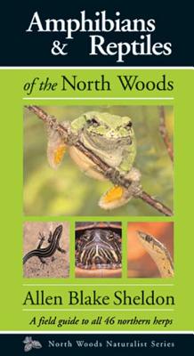 Image for Amphibians & Reptiles Of The North Woods