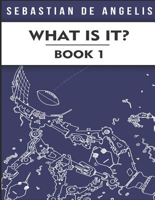 What Is It Book 1: Drawings 1 to 250