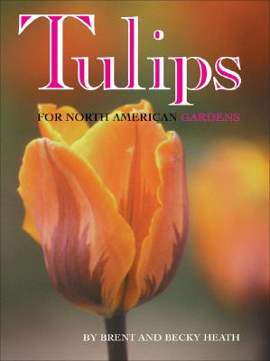 Tulips For North American Gardens