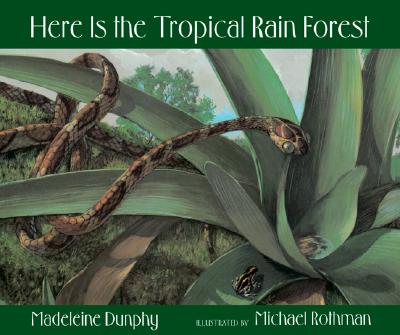 Here Is the Tropical Rain Forest (Web of Life, 1)