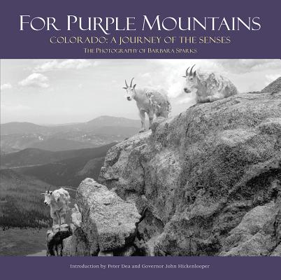 For Purple Mountains: Colorado: A Journey of the Senses