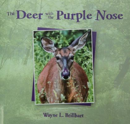 The Deer with the Purple Nose