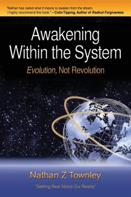 Awakening Within the System: Evolution, Not Revolution