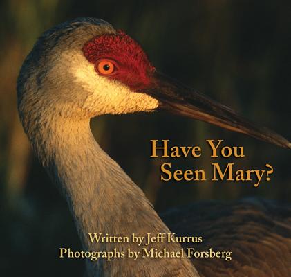 Have You Seen Mary
