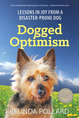 DOGGED OPTIMISM: LESSONS IN JOY FROM A DISASTER-PRONE DOG