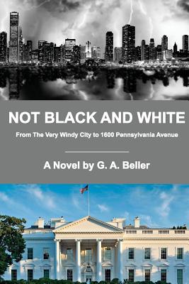 Not Black And White : From The Very Windy City to 1600 Pennsylvania Avenue