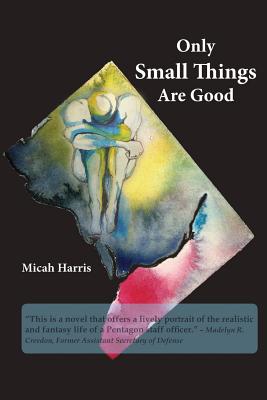 Only Small Things are Good: The Open Letter
