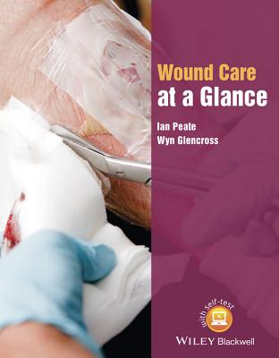 Wound Care at a Glance (At a Glance (Nursing and Healthcare))