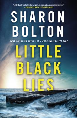 Little Black Lies: A Novel