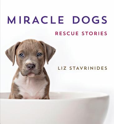 Miracle Dogs