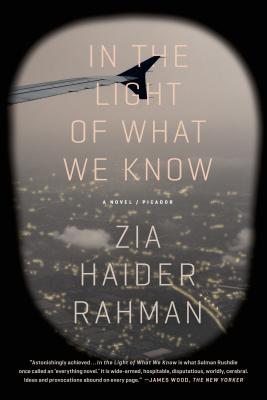 Image for In the Light of What We Know: A Novel In the Light of What We Know: A Novel