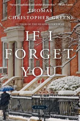 Image for If I Forget You: A Novel If I Forget You: A Novel