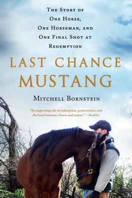 Image for Last Chance Mustang: The Story of One Horse, One Horseman, and One Final Shot at Redemption