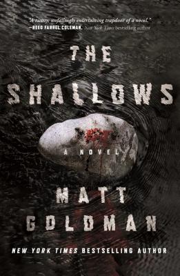 The Shallows: A Nils Shapiro Novel: 3 [Hardcover] Goldman, Matt