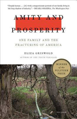 Image for Amity and Prosperity: One Family and the Fracturing of America