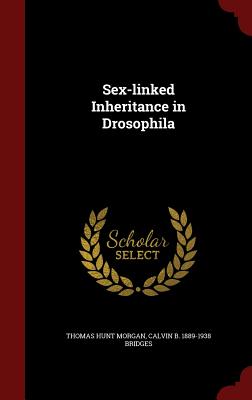 Sex-linked Inheritance in Drosophila Image for Sex-linked Inheritance in Drosophila