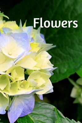 Flowers: Ma vie et les fleurs [Paperback] Berthin, Gilou Gilles