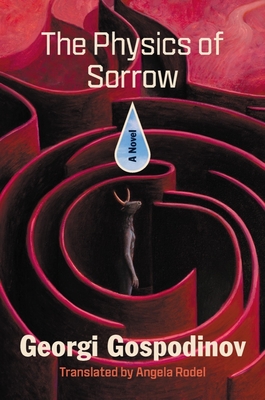 The Physics of Sorrow: A Novel
