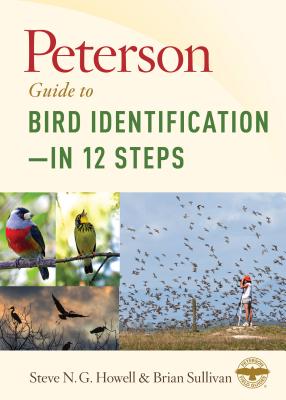 Image for Peterson Guide to Bird Identificationin 12 Steps Peterson Guide to Bird Identificationin 12 Steps