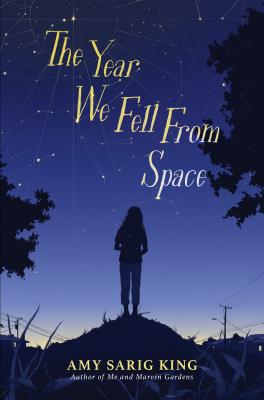 Image for The Year We Fell From Space The Year We Fell From Space