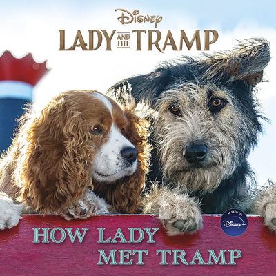 Image for Lady and the Tramp: How Lady Met Tramp