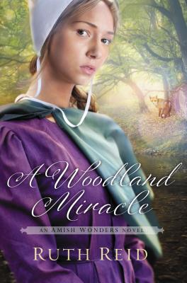 A Woodland Miracle (The Amish Wonders Series)