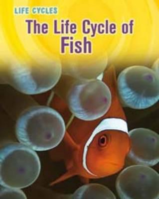Life Cycle of Fish