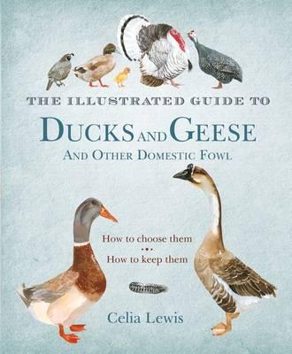 The Illustrated Guide to Ducks and Geese and Other Domestic Fowl: How To Choose Them - How To Keep Them