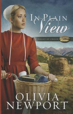 In Plain View (Valley of Choice)
