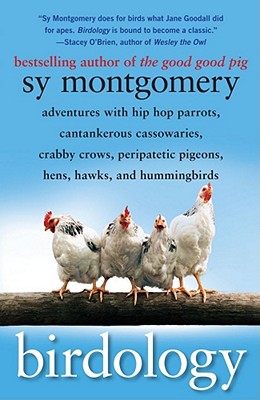 Birdology: Adventures With Hip Hop Parrots, Cantankerous Cassowaries, Crabby Crows, Peripatetic Pigeons.