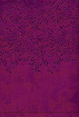Image for "''NKJV Women of Faith Devotional Bible, Plum Imitation Leather''"