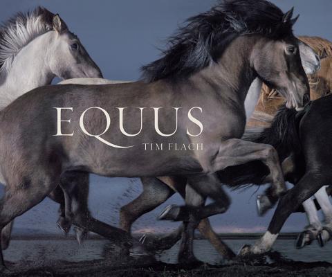 Equus (Mini) (Revised)