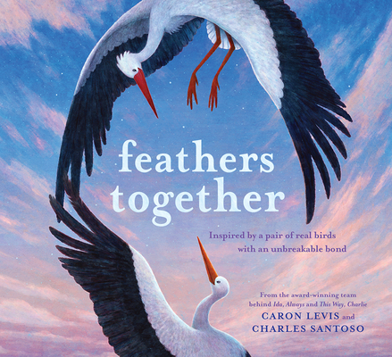 Image for Feathers Together (Feeling Friends)