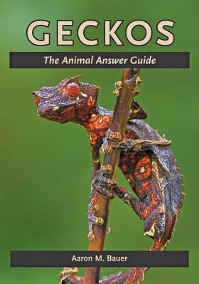 Geckos: The Animal Answer Guide (The Animal Answer Guides: Q&A for the Curious Naturalist)