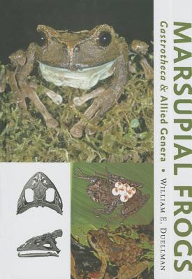 Marsupial Frogs: Gastrothecaand Allied Genera