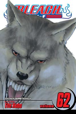 Bleach, Vol. 62 (62)