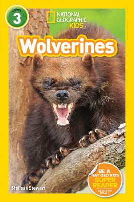 Image for National Geographic Readers: Wolverines (L3) National Geographic Readers: Wolverines (L3)