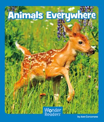 Animals Everywhere