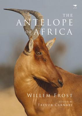 Image for The Antelope Of Africa The Antelope Of Africa